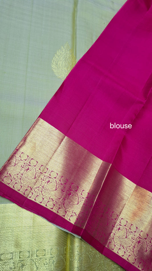 SAGE GREEN & MAGENTA PURE KANJIPURAM SILK SAREE