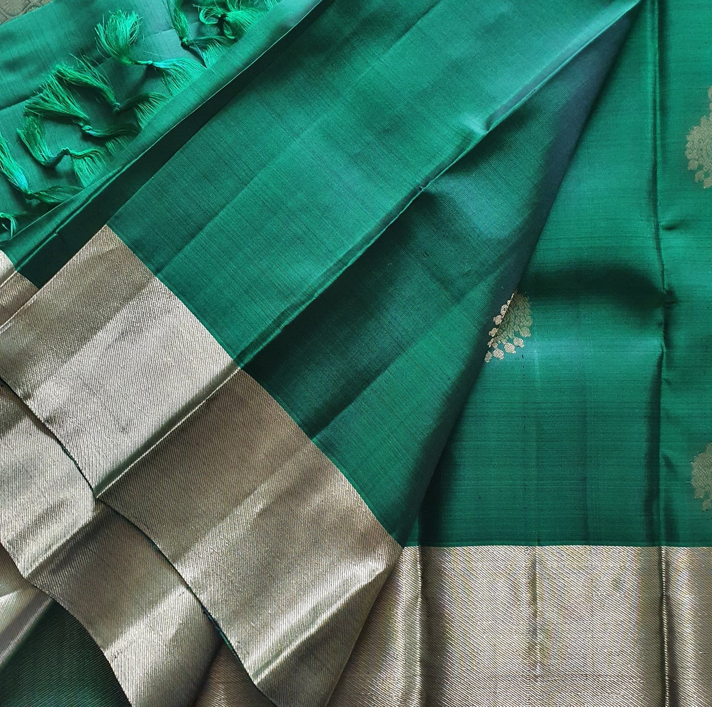 ALL GREEN KANJIPURAM