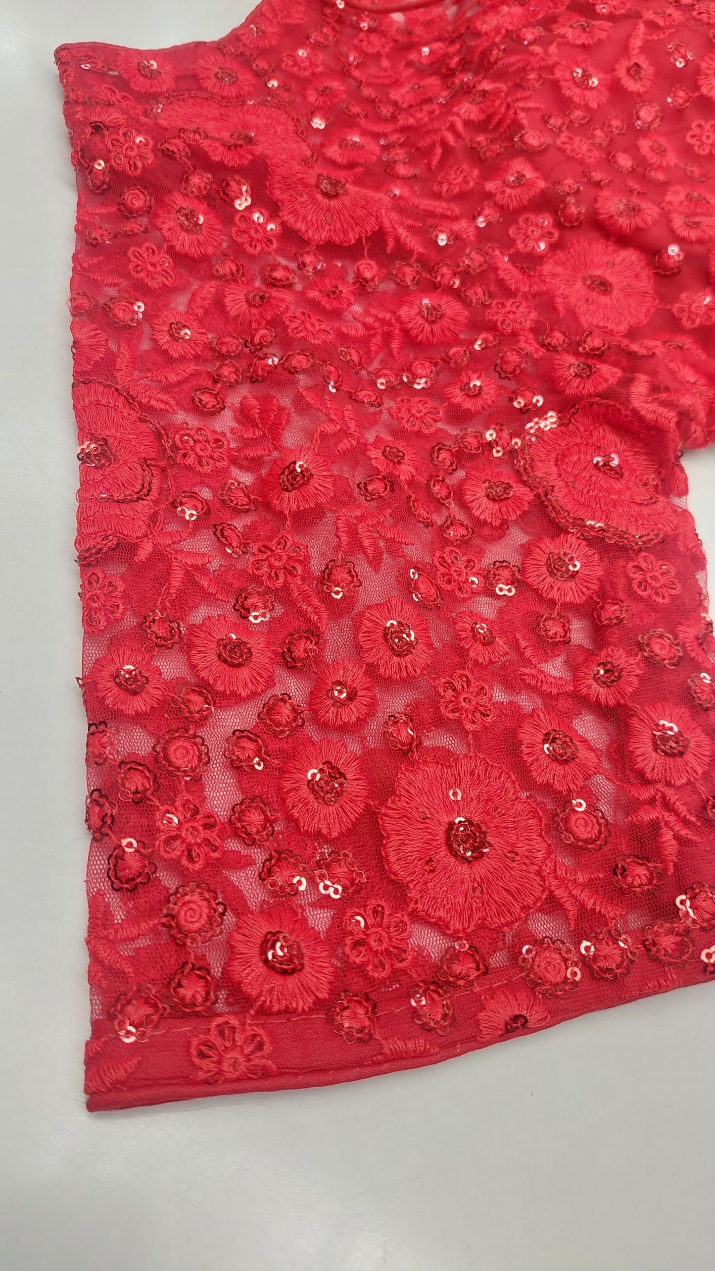 RED NET DESIGNER BLOUSE