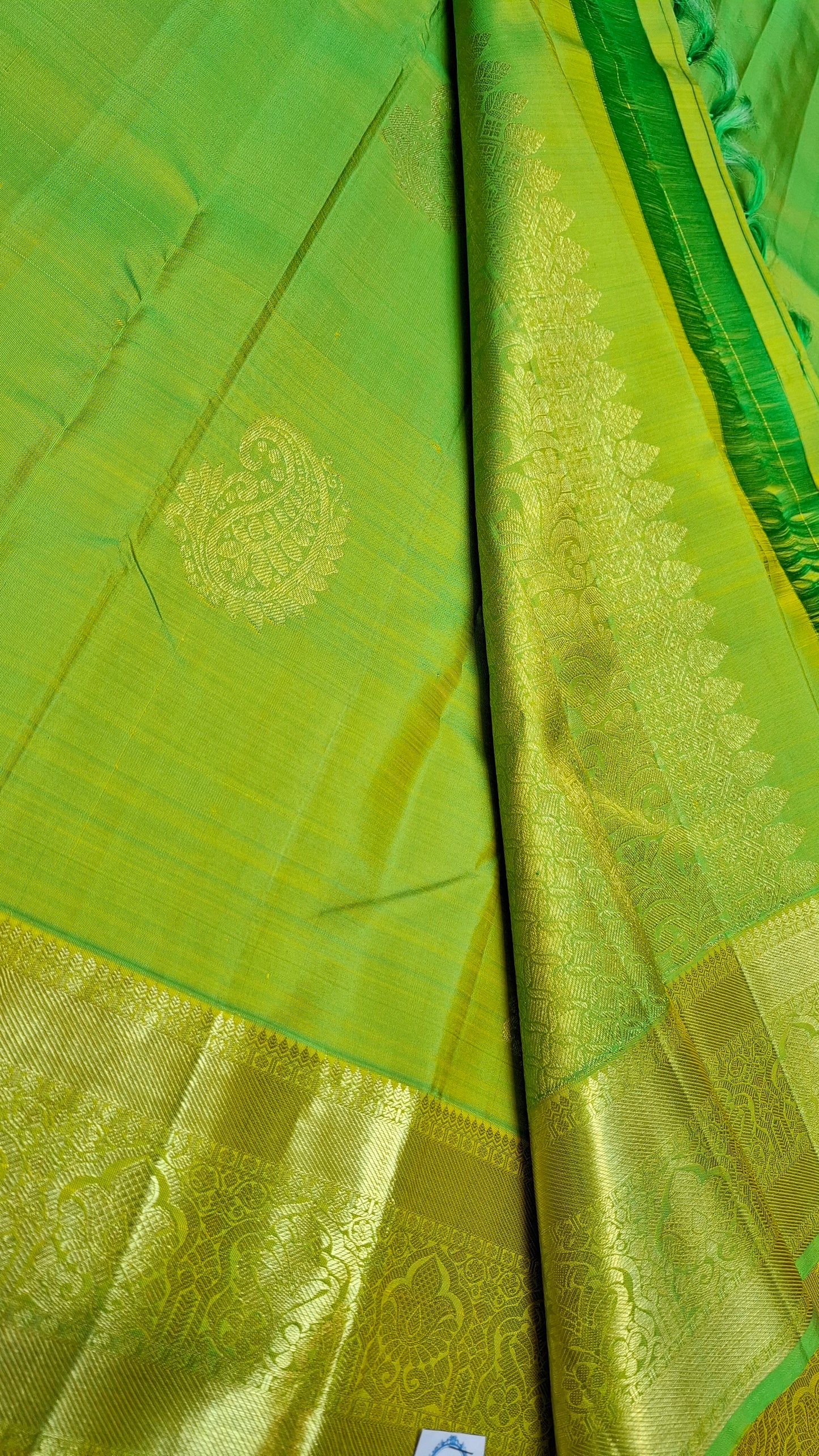 PARROT GREEN & GOLD PURE KANJIPURAM SILK